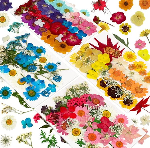 what to do with dried flowers: 146 PCS Real Natural Dried Pressed Flowers