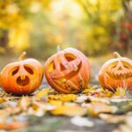 What to do with Pumpkins after Halloween