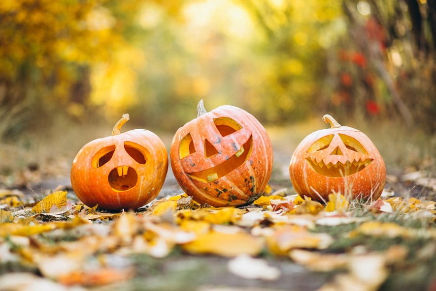 What to do with Pumpkins after Halloween