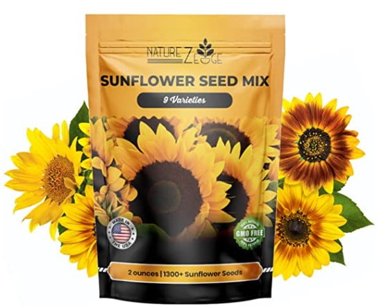 what to do with sunflower stalks: NatureZ Edge 1300+ Sunflower Seeds
